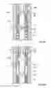Fig. 04 - Downhole fluid flow diverting