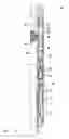Fig. 06 - Method and apparatus for magnetic pulse signature actuation