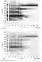 Fig. 08 - Distributed sensing systems and methods with efficient energy spectrum analysis