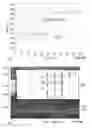 Fig. 09 - Distributed sensing systems and methods with efficient energy spectrum analysis