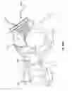 Fig. 40 - Positive displacement rotary motion device including a pulse detonation device