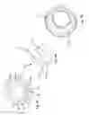 Fig. 61 - Positive displacement rotary motion device including a pulse detonation device
