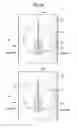 Fig. 23 - Rotary carburetor for two-stroke internal combustion engine