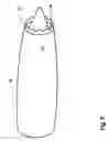 Fig. 03 - CHEVRON NOZZLE