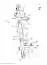 Fig. 02 - FUEL RAIL