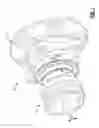 Fig. 02 - Bevel facespline with line contact