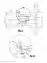 Fig. 05 - Bevel facespline with line contact