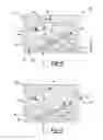 Fig. 05 - Selectable one-way clutch with torque independent release element