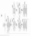 Fig. 02 - METHOD OF LEARNING AND CONTROLLING TRANSMISSION