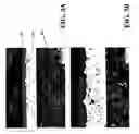 Fig. 03 - Coated sliding element