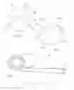 Fig. 04 - Coilable extendible member and methods