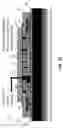 Fig. 13 - PIPE CONNECTOR