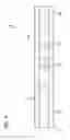 Fig. 07 - Fitting including clip for channel framing