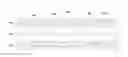 Fig. 01 - LED filament