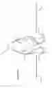 Fig. 05 - ELECTRONIC LUMINARY DEVICE WITH SIMULATED FLAME