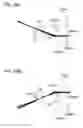 Fig. 40 - Vehicle lamp