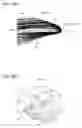 Fig. 52 - Vehicle lamp