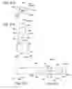 Fig. 85 - Vehicle lamp