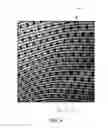 Fig. 07 - Light fixture with fabric layer having printed dots