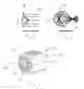 Fig. 02 - Illuminator