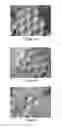 Fig. 05 - Adsorption heat exchanger devices