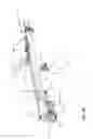 Fig. 08 - Bullpup stock assembly configured for accommodating multiple firearm assemblies