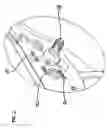 Fig. 03 - Trigger mechanism with momentary automatic safety