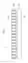 Fig. 04 - Multi-contact type position detection apparatus for target board
