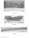 Fig. 16 - Engineered renal tissues, arrays thereof, and methods of making the same