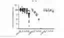 Fig. 19 - Engineered renal tissues, arrays thereof, and methods of making the same