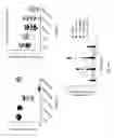 Fig. 22 - Engineered renal tissues, arrays thereof, and methods of making the same