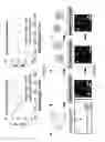 Fig. 06 - Binding detection using liquid crystal