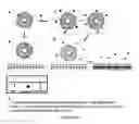Fig. 08 - Binding detection using liquid crystal