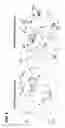 Fig. 10 - Antibody-nanoparticle conjugates and methods for making and using such conjugates