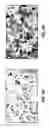 Fig. 16 - Antibody-nanoparticle conjugates and methods for making and using such conjugates
