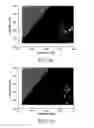 Fig. 09 - Two-dimensional fluorescence difference spectroscopy characterization of nanoparticles and their interactions