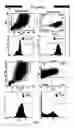 Fig. 08 - 3-D in vitro model for breast cancer dormancy