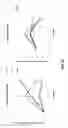 Fig. 23 - 3-D in vitro model for breast cancer dormancy
