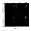 Fig. 28 - 3-D in vitro model for breast cancer dormancy