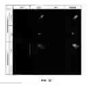 Fig. 33 - 3-D in vitro model for breast cancer dormancy