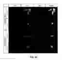 Fig. 37 - 3-D in vitro model for breast cancer dormancy