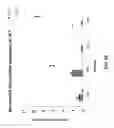 Fig. 56 - 3-D in vitro model for breast cancer dormancy