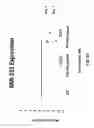 Fig. 64 - 3-D in vitro model for breast cancer dormancy