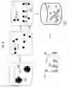 Fig. 08 - METHODS AND SYSTEMS FOR DETECTION OF MICROORGANISMS