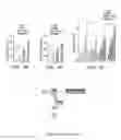 Fig. 09 - METHODS, ASSAYS, AND SYSTEMS RELATING TO SAKT