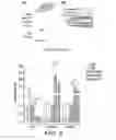 Fig. 10 - METHODS, ASSAYS, AND SYSTEMS RELATING TO SAKT