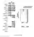 Fig. 19 - METHODS, ASSAYS, AND SYSTEMS RELATING TO SAKT