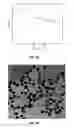 Fig. 03 - Functionalized gold nanoparticles and methods thereof