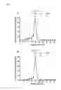 Fig. 04 - Immunoassay for the detection of procalcitonin