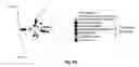 Fig. 11 - Methods of identifying and quantifying sphingolipids